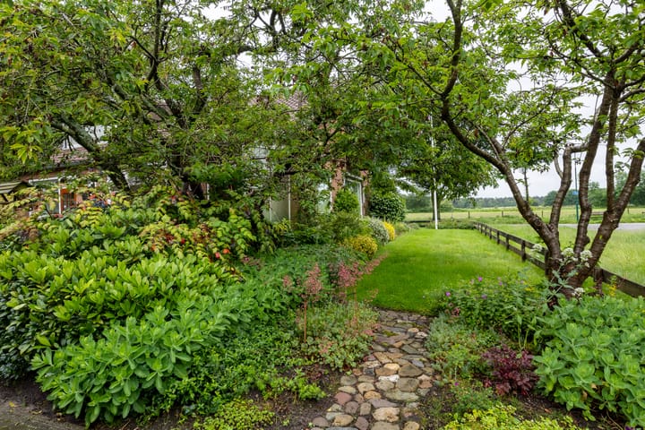 Foto 5 van Wildbaan 1