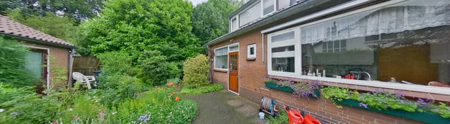 Achtertuin