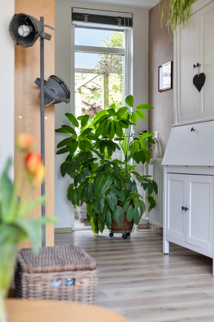 Foto 12 van Jellissenkamp 17