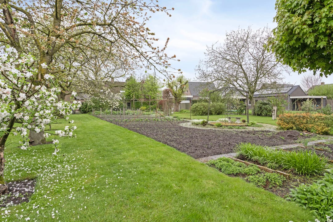 Foto 31 van Burg. Van Houtstraat 92