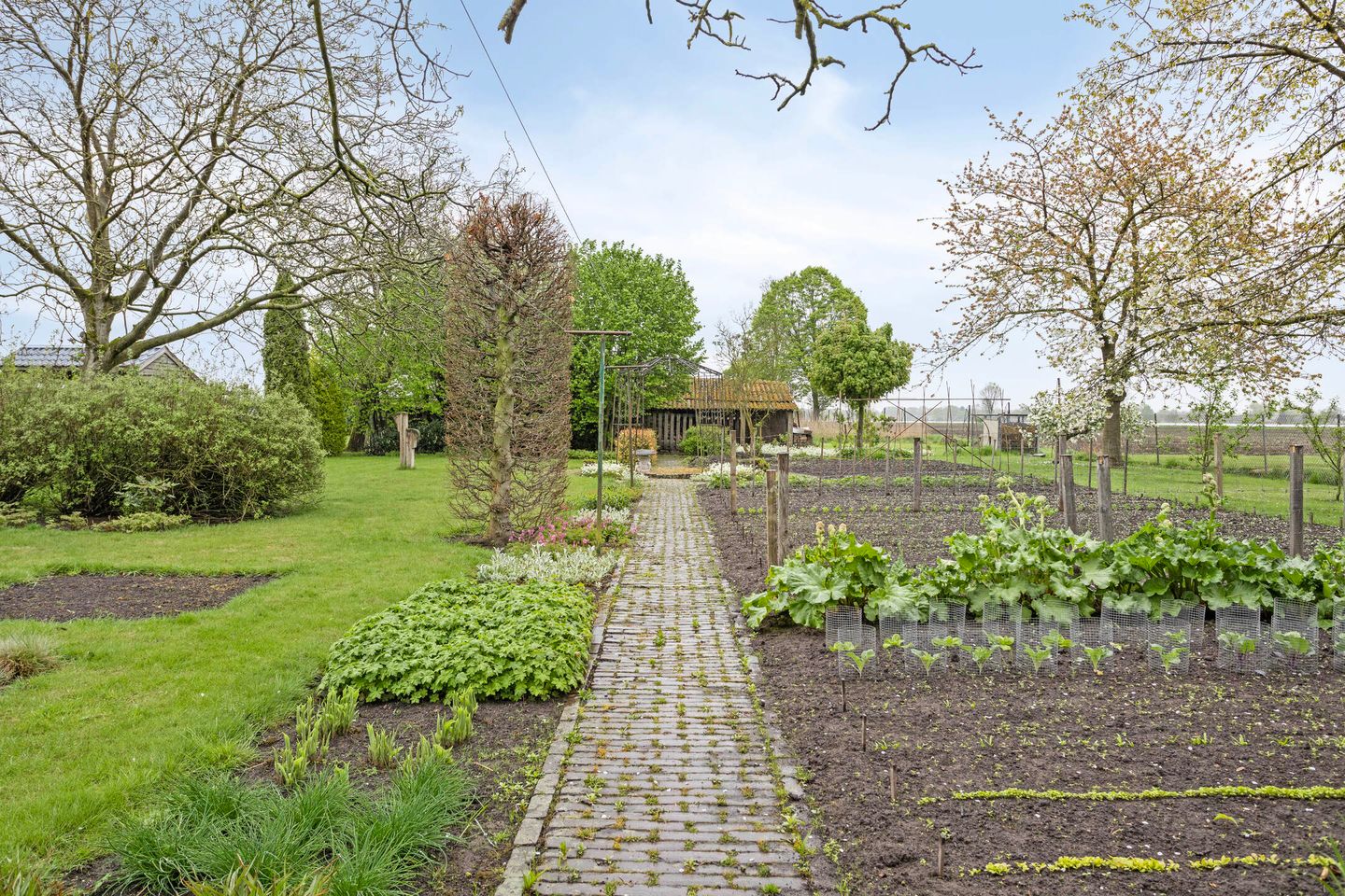 Foto 35 van Burg. Van Houtstraat 92