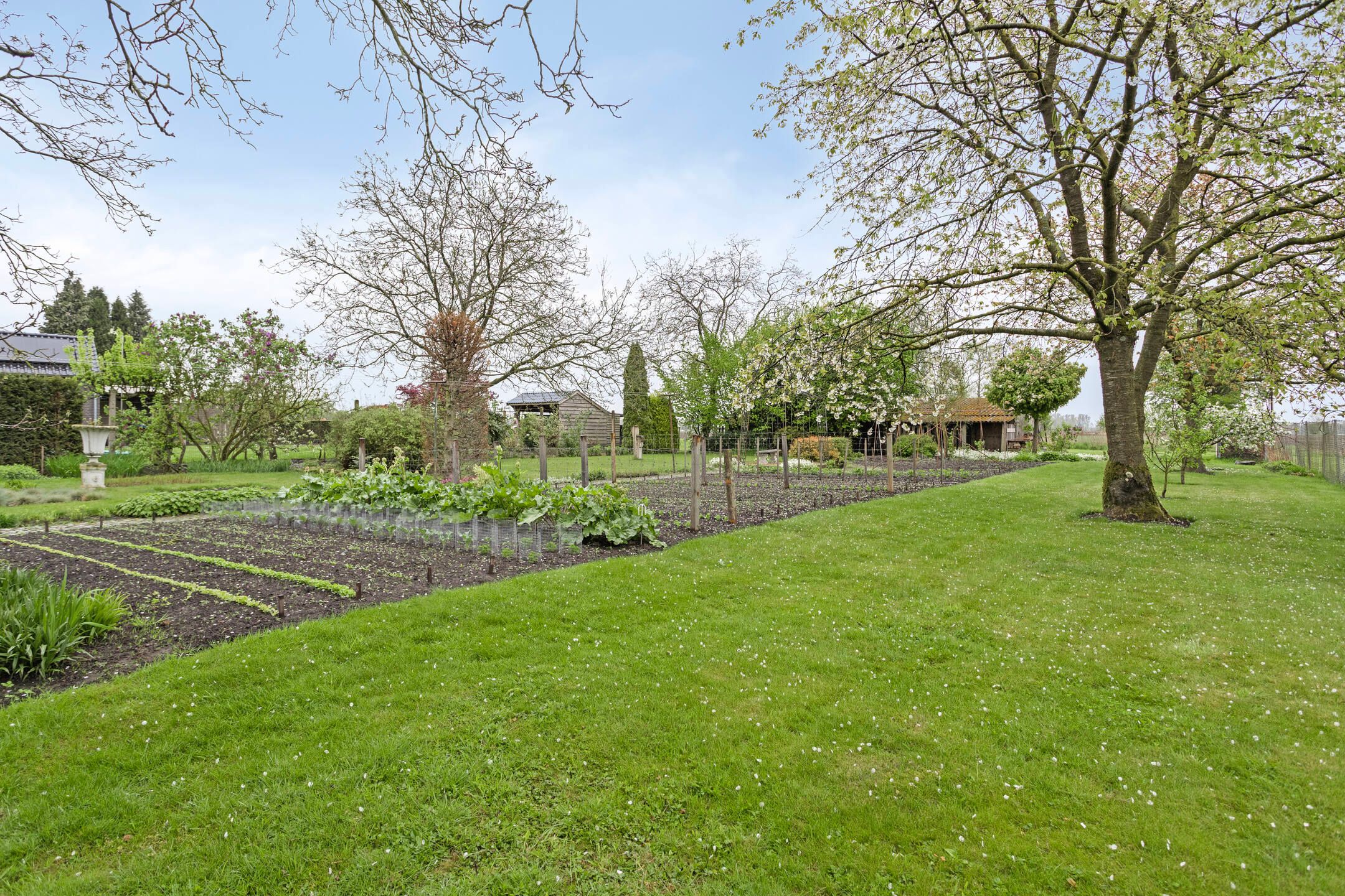 Foto 36 van Burg. Van Houtstraat 92