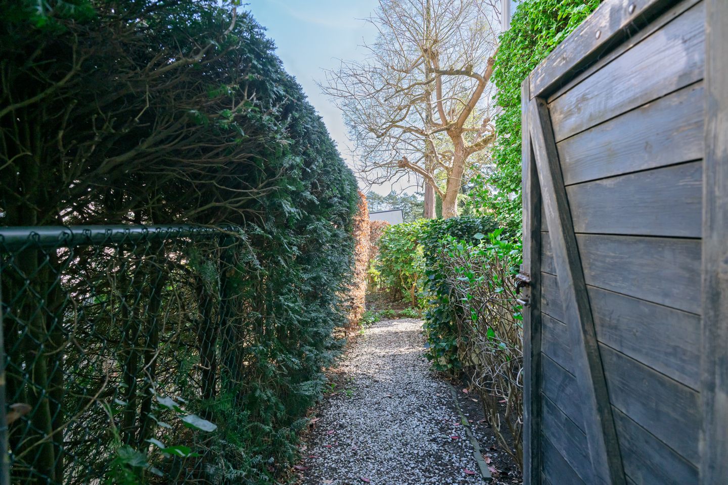 Photo 35 of 's-Gravendreef 12