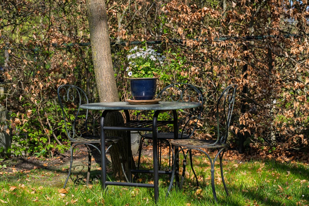 Photo 38 of 's-Gravendreef 12