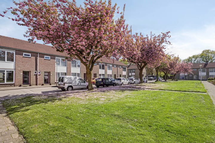 Foto 30 van Flintstraat 16