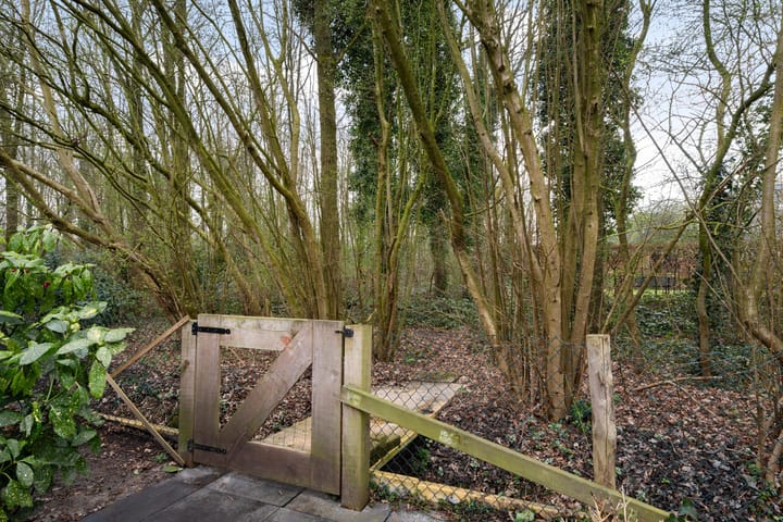 Foto 38 van De Weidedijk 10