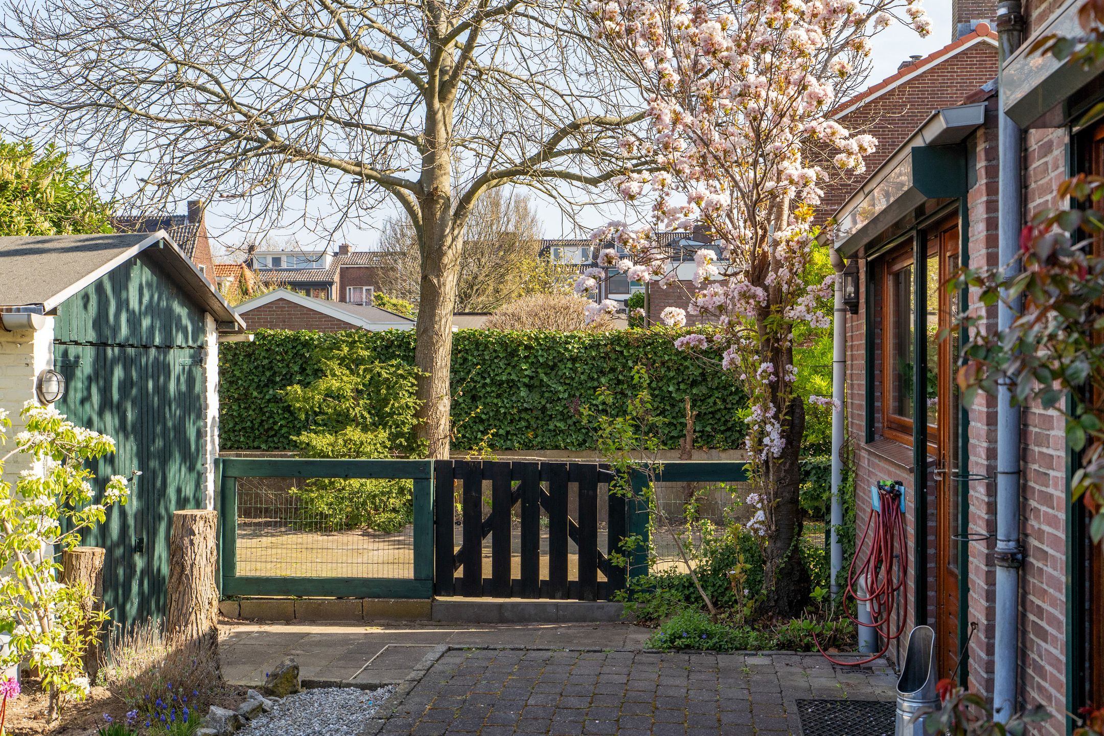 Photo 45 of Gouden Torrenstraat 22