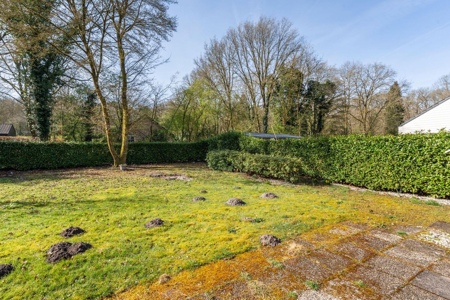 Foto 14 van Hulsthof 32