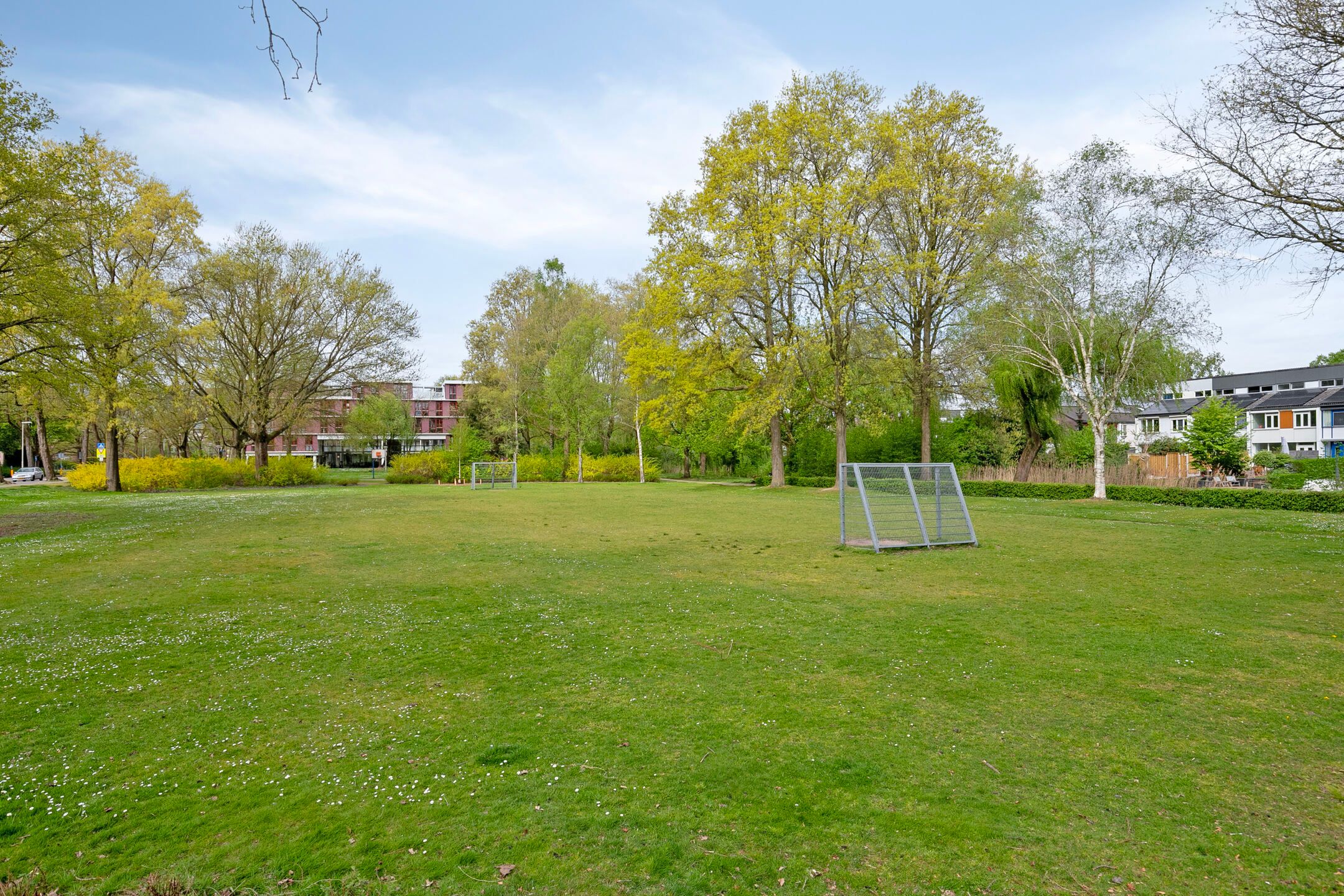 Photo 30 of Eimerick 39