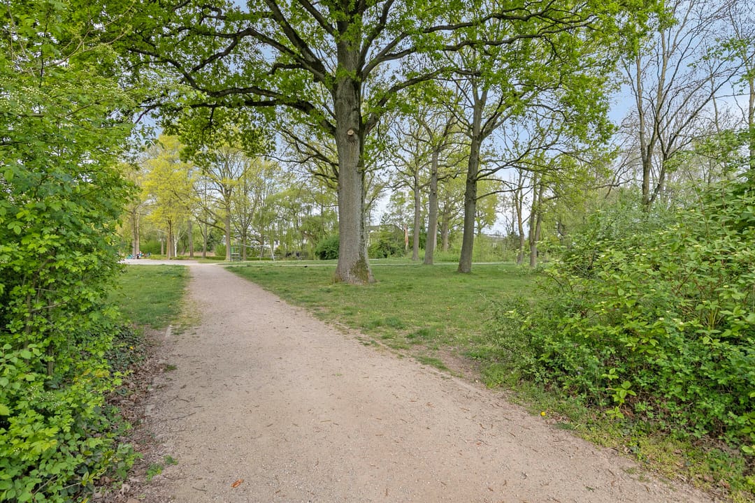 Photo 32 of Eimerick 39