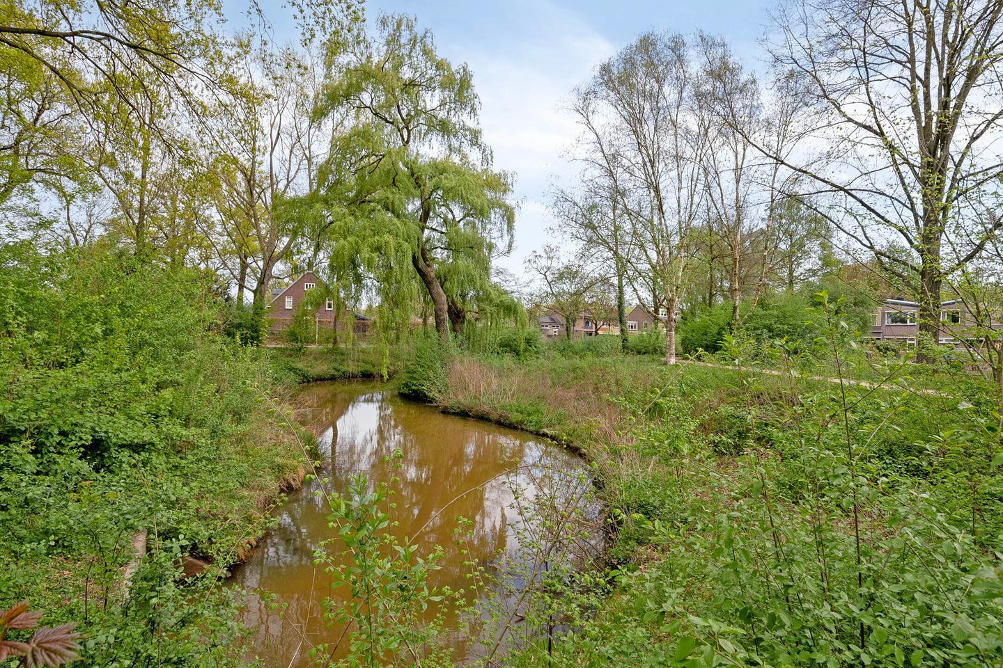 Photo 34 of Eimerick 39