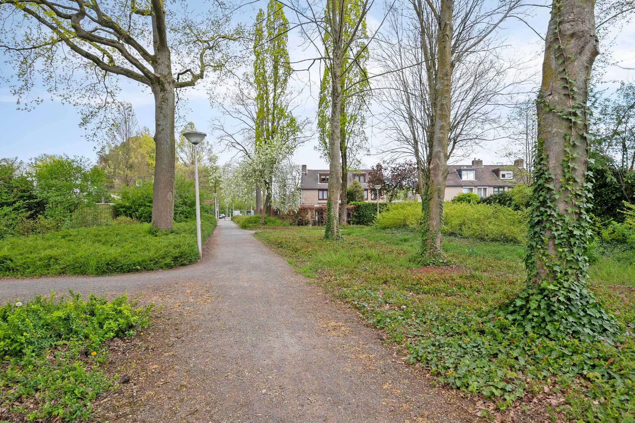 Photo 36 of Eimerick 39