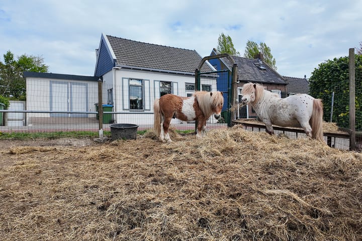 Foto 6 van Drogedijk 45