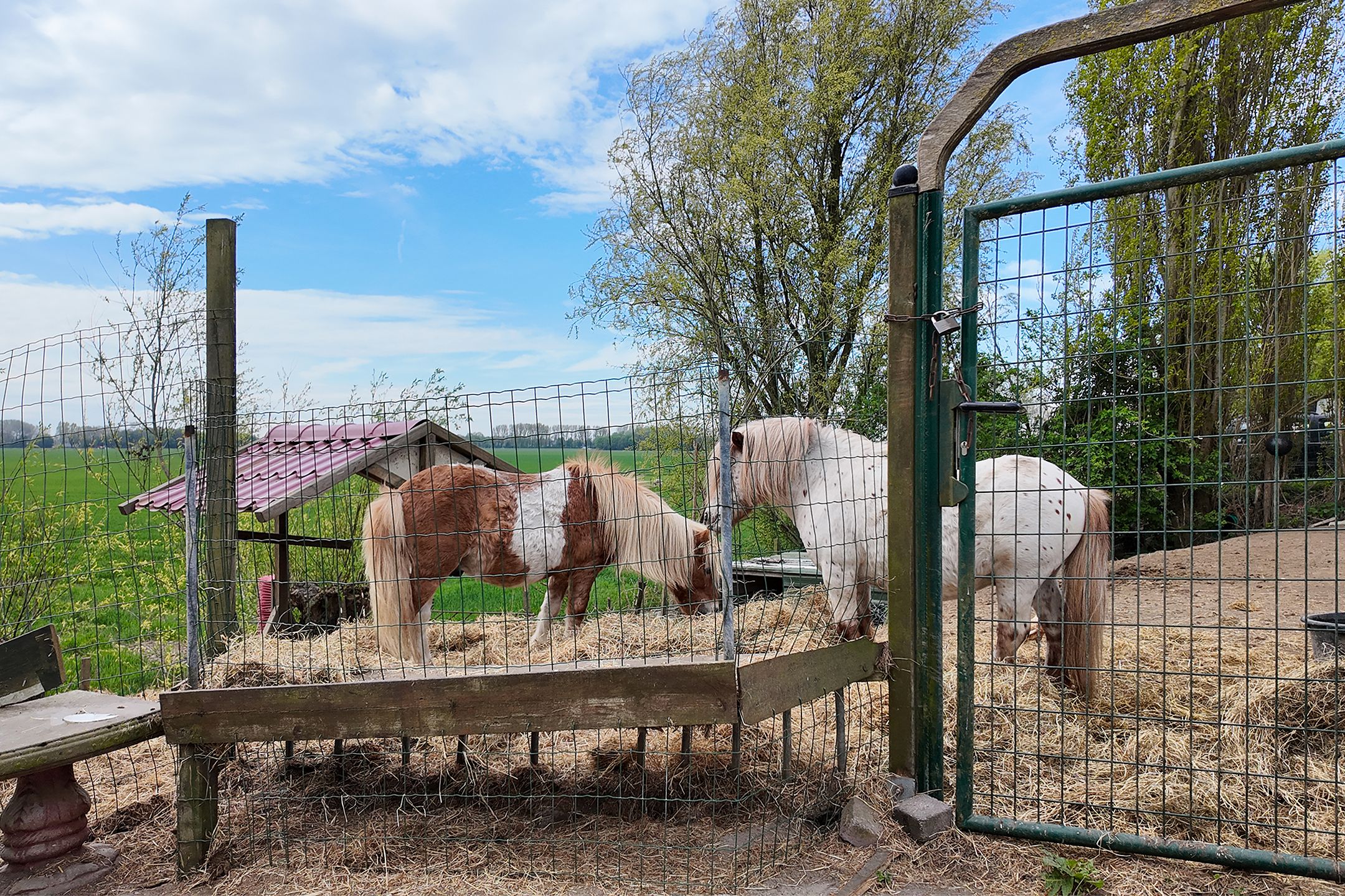 Foto 66 van Drogedijk 45