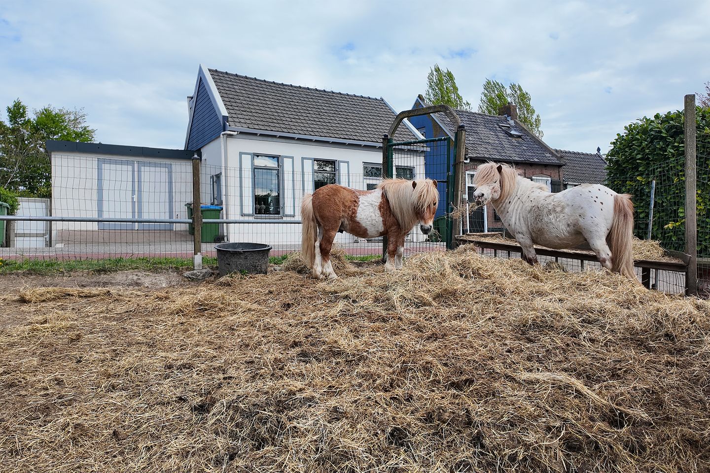 Foto 65 van Drogedijk 45