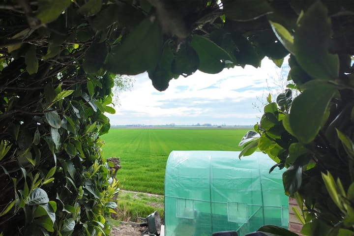 Foto 70 van Drogedijk 45