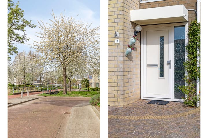 Photo 11 of Vivaldipad 14