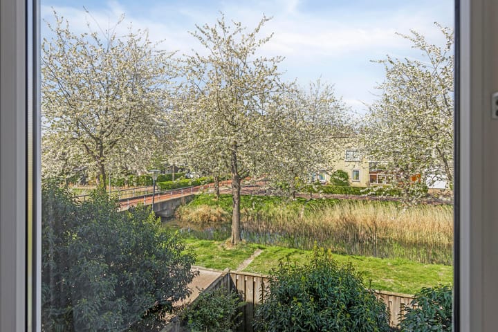 Photo 41 of Vivaldipad 14