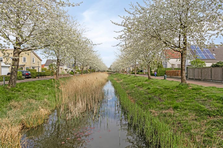 Photo 50 of Vivaldipad 14