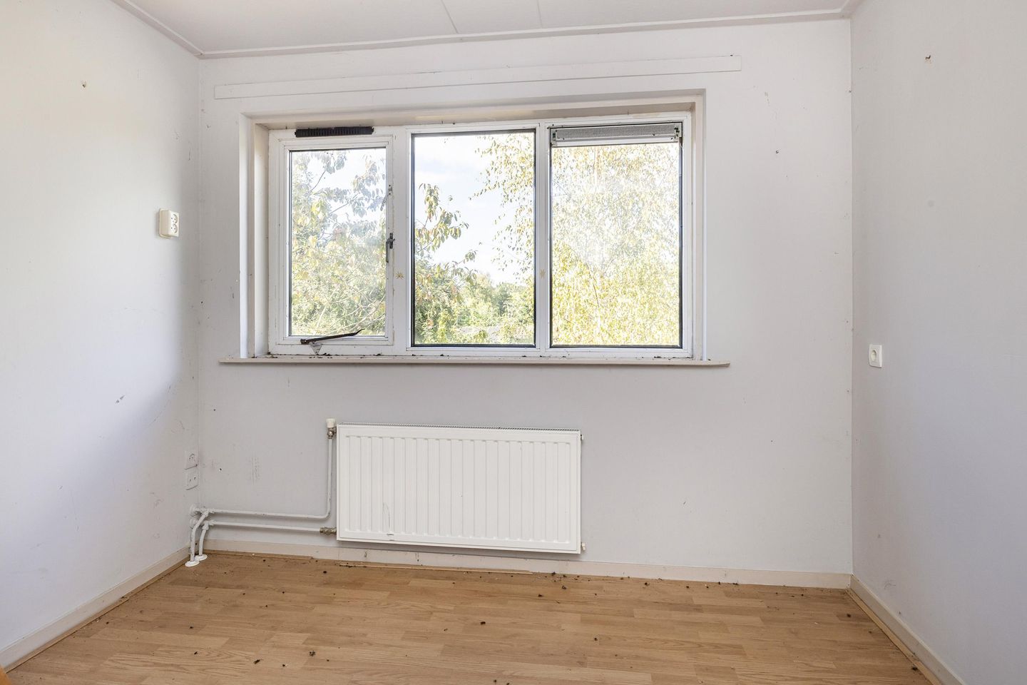 Foto 10 van Jan Freerks Zijlkerstraat 47