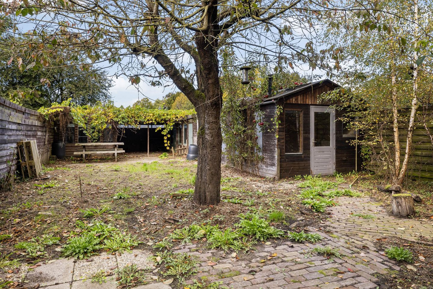 Foto 14 van Jan Freerks Zijlkerstraat 47