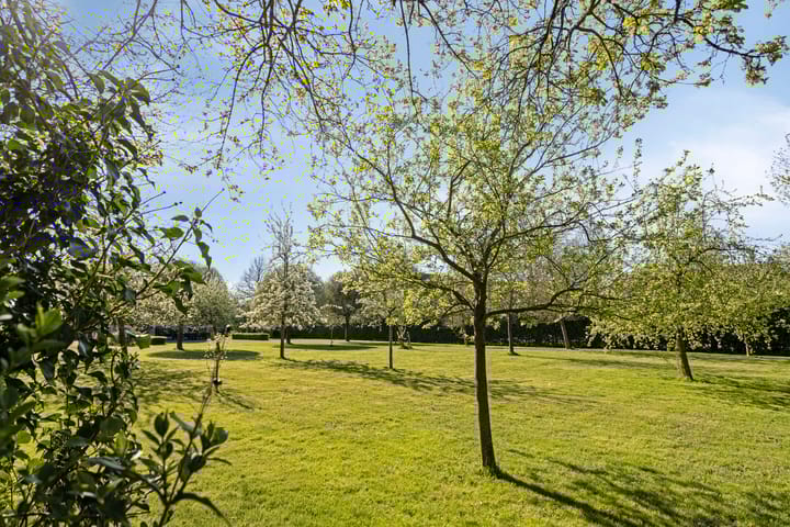 Photo 29 of Meekrapstraat 11