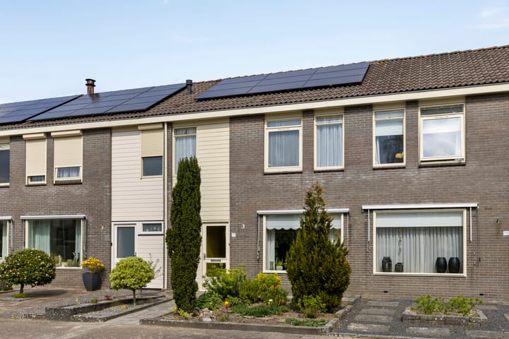 Foto 4 van Vrijheidsplaat 77