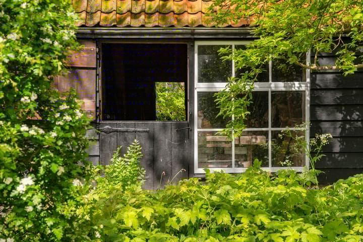 Foto 29 van Zuidstraat 5