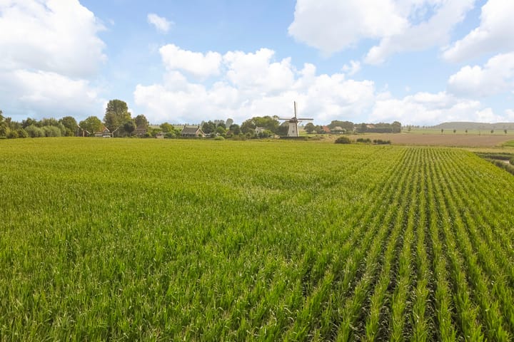 Foto 50 van Zuidstraat 5