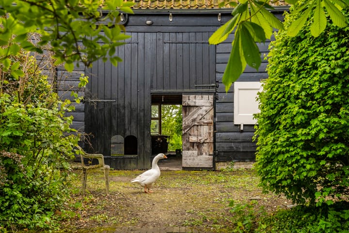 Foto 51 van Zuidstraat 5