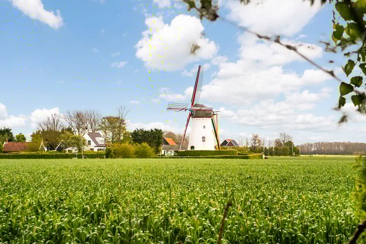 Foto 54 van Zuidstraat 5