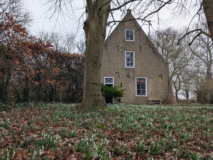 Foto 60 van Zuidstraat 5