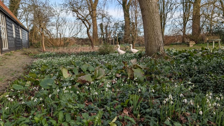 Foto 61 van Zuidstraat 5