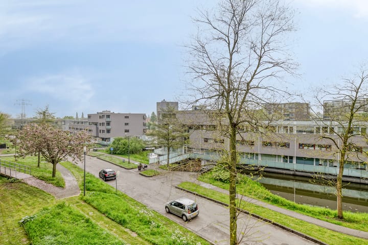 Foto 24 van Meerval 20