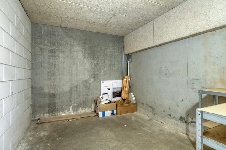 Foto 28 van Meerval 20