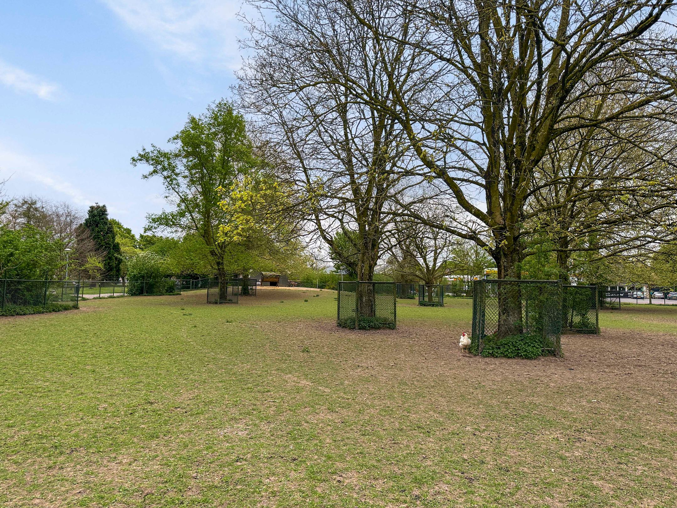 Photo 39 of Europaplein 63