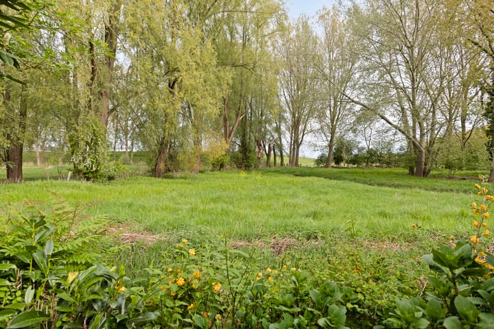 Foto 41 van van Colsterstraat 9