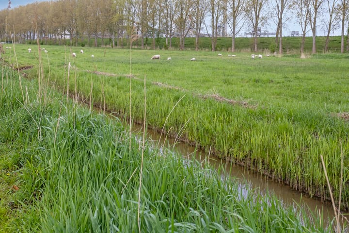 Foto 42 van van Colsterstraat 9