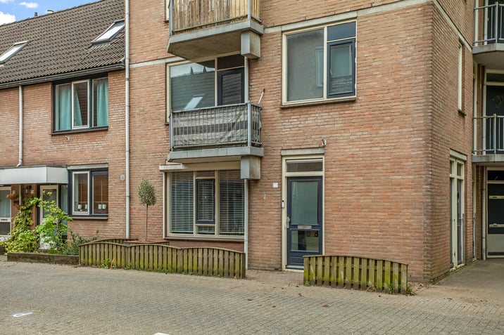 undefined main image