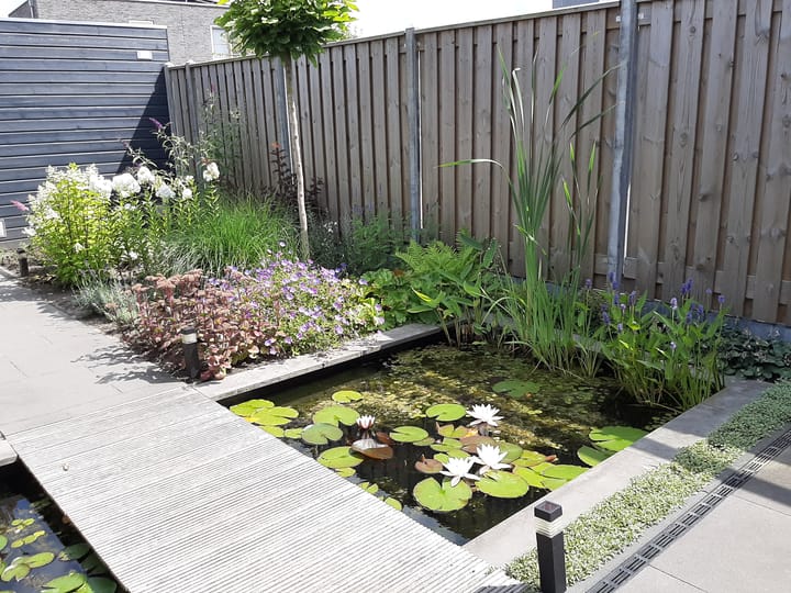 Foto 51 van De Landerijen 95