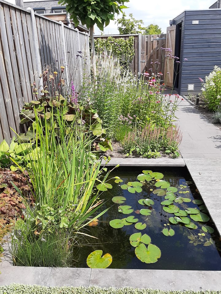 Foto 53 van De Landerijen 95