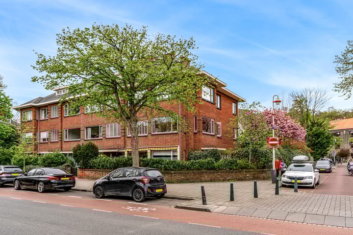 Foto 36 van Oostduinlaan 62