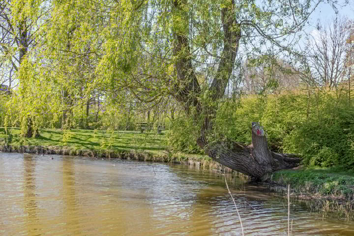 Foto 26 van Steenbergseweg 43