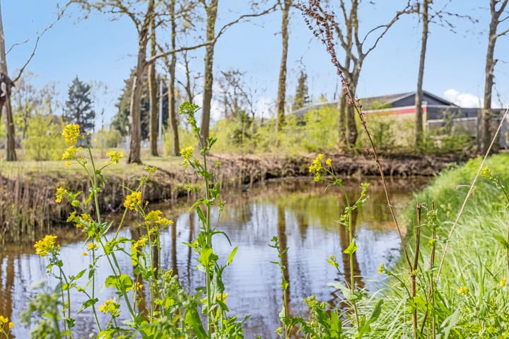 Foto 28 van Steenbergseweg 43