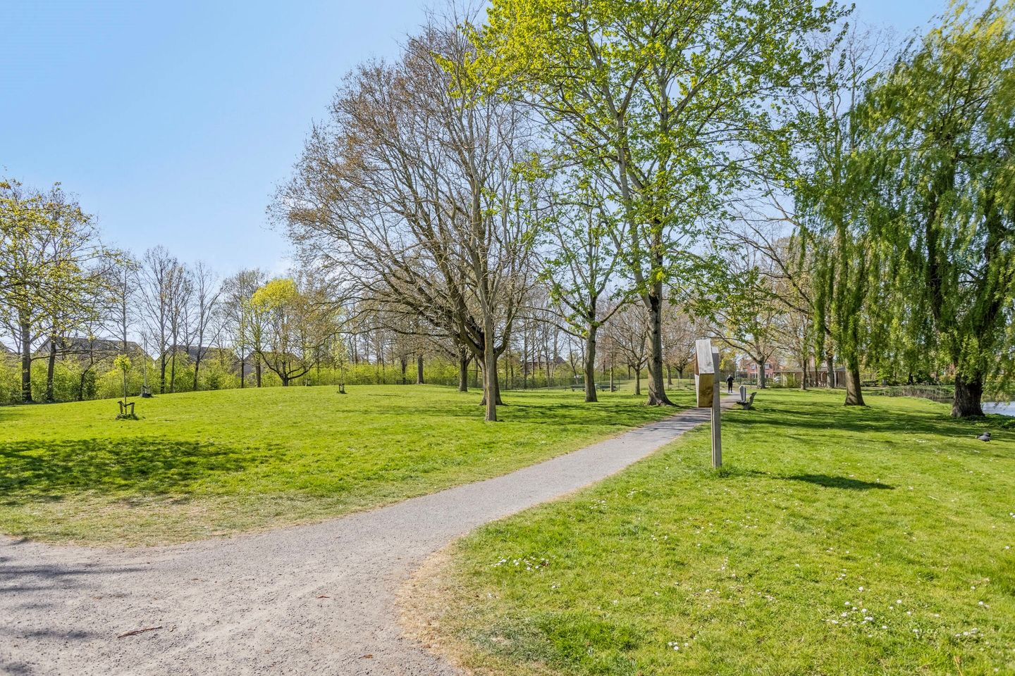 Foto 29 van Steenbergseweg 43