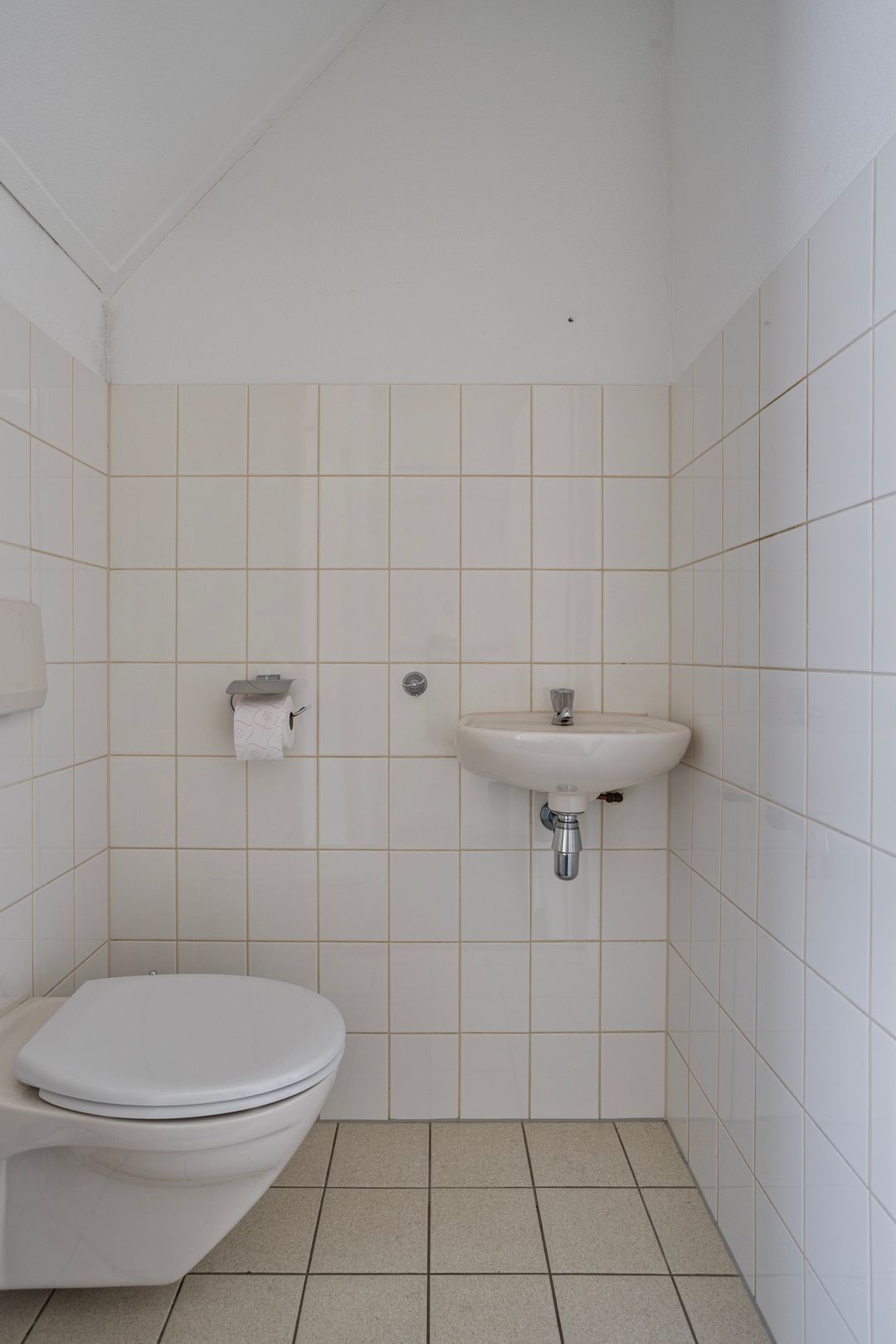 Foto 7 van Pootvelden 19