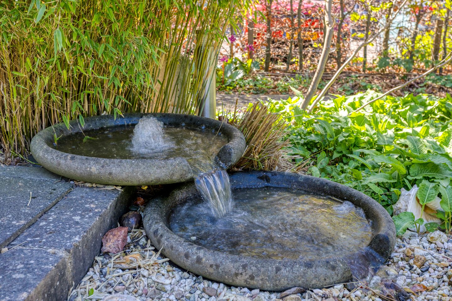 Foto 40 van Noordkaap 1