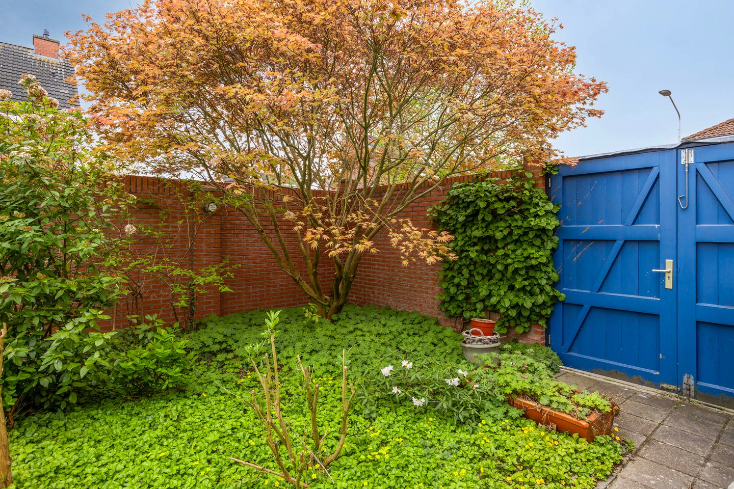 Foto 29 van Pootvelden 19