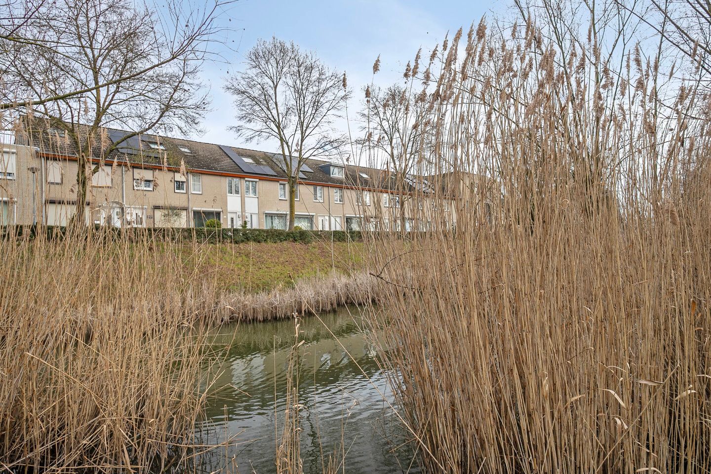 Foto 25 van Bellomontedomein 96