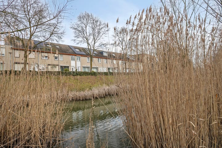 Foto 25 van Bellomontedomein 96